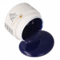 Preview: UV Master Color Gel - Colour gel - 5ml - Blue tones