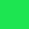 N°2072 Neon Green
